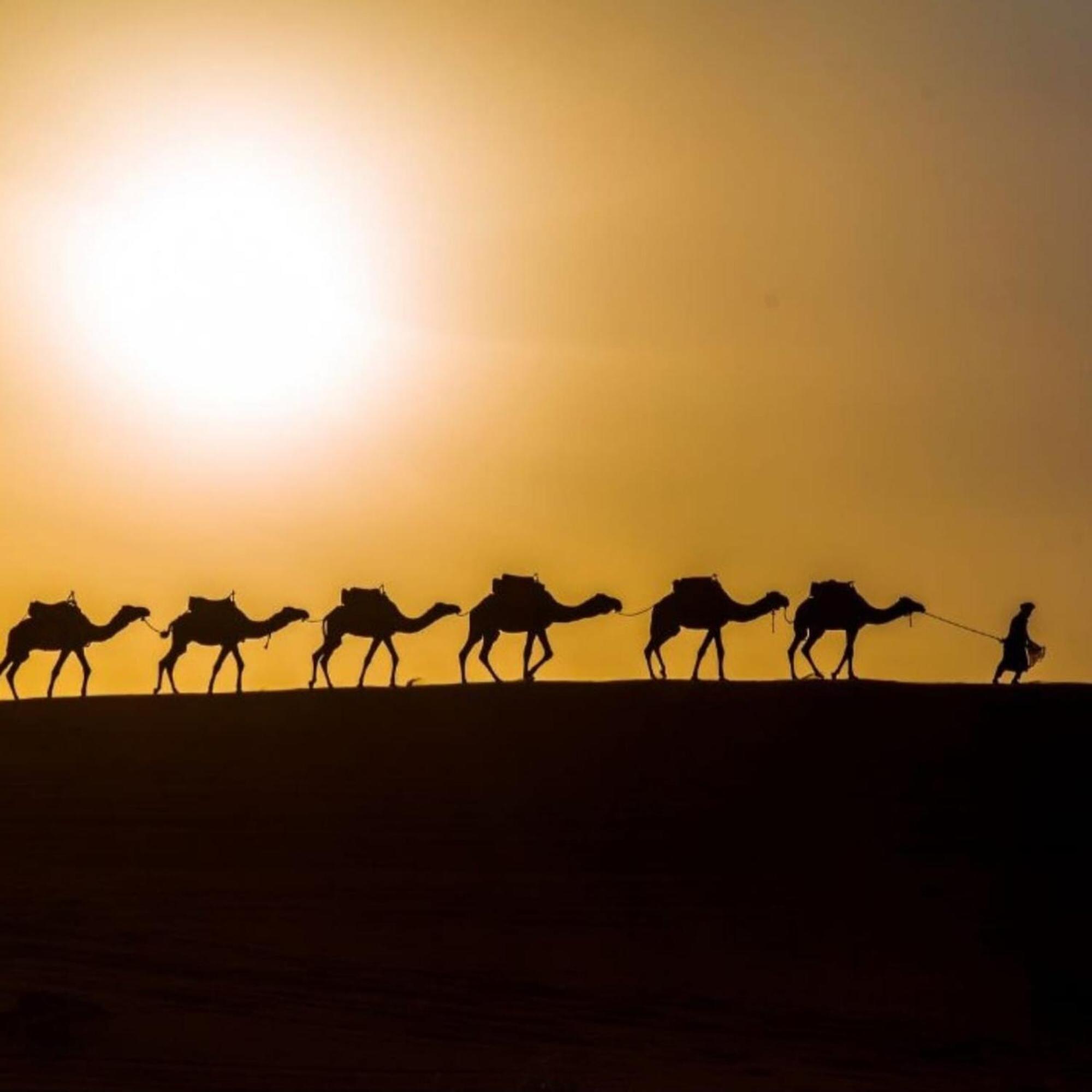 Hotel Unique Sahara Camp Merzouga Exteriér fotografie