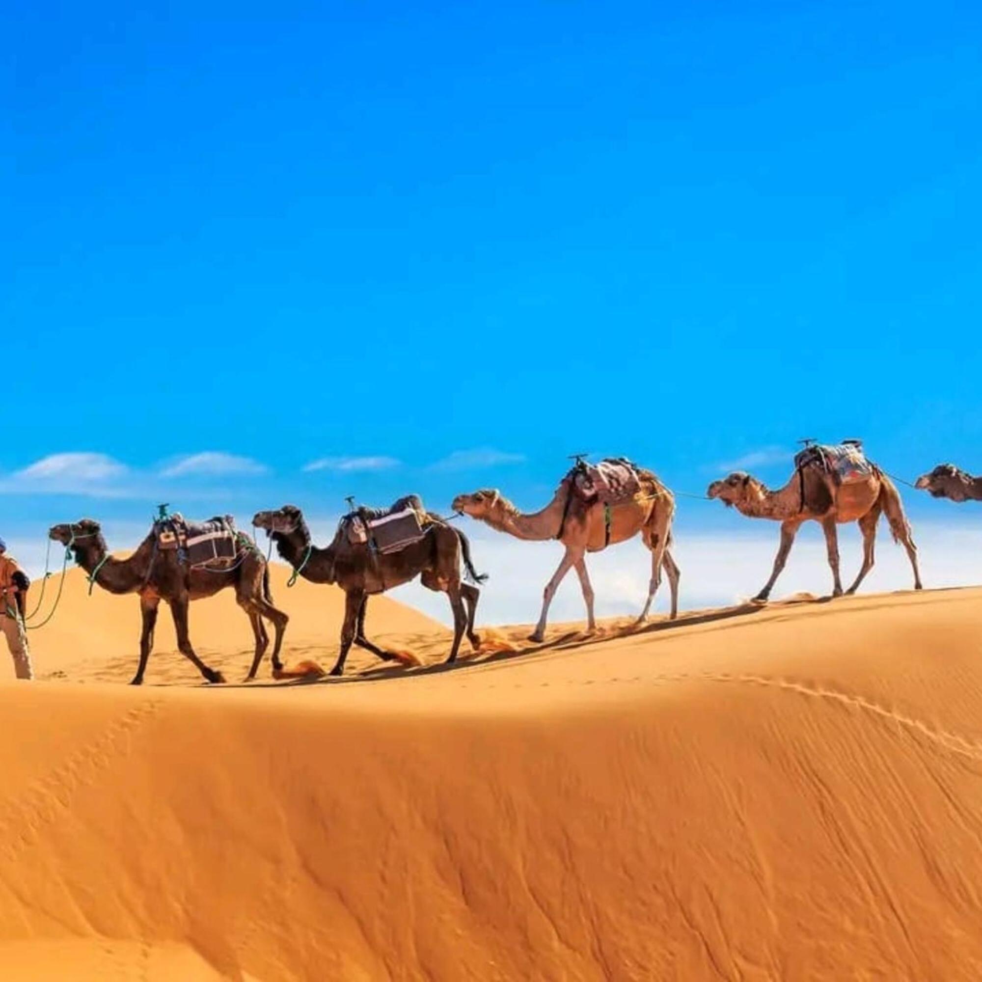 Hotel Unique Sahara Camp Merzouga Exteriér fotografie